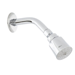 4501B Regadera ecológica 2" de cebolla con  brazo y chapetón