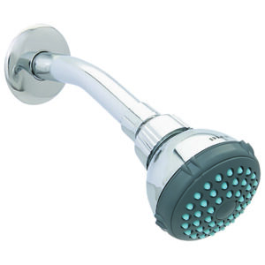 4506B Regadera 2 1/2" de cebolla con  brazo y chapetón