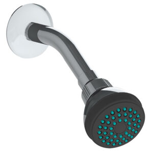 4506BL Regadera ecológica 2 1/2" de cebolla con  brazo y chapetón