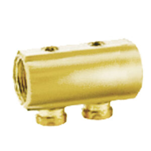 772CPEX.2513 Colector de distribución con control de paso de 2 entradas de 1" x 1/2"
