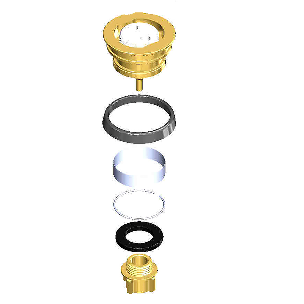 R281047 Sistema pistón para fluxómetro 1319
